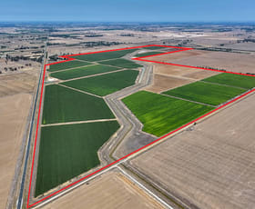 Rural / Farming commercial property for sale at Tongala VIC 3621
