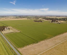 Rural / Farming commercial property for sale at 32 Murphy Road Tongala VIC 3621