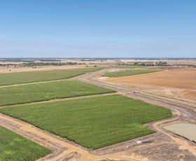 Rural / Farming commercial property for sale at Tongala VIC 3621