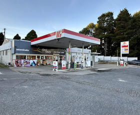 Shop & Retail commercial property for sale at 5243 Snowy Mountains Highway Adaminaby NSW 2629
