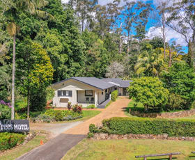 Hotel, Motel, Pub & Leisure commercial property for sale at Tamborine Mountain QLD 4272