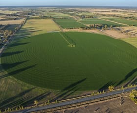 Rural / Farming commercial property for sale at 315 and 330 Fidge Road Undera VIC 3629