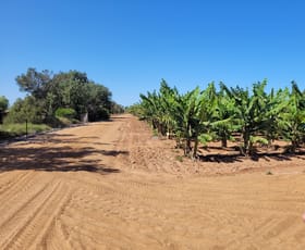 Rural / Farming commercial property for sale at Carnarvon WA 6701