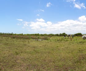Development / Land commercial property for sale at 69 Maitland Road Hexham NSW 2322