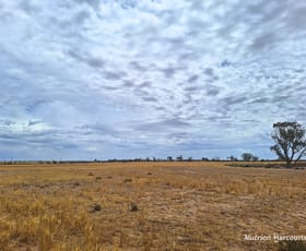 Rural / Farming commercial property for sale at . Dowdings Kellerberrin WA 6410