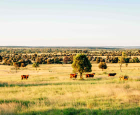 Rural / Farming commercial property for sale at Waikola QLD 4420