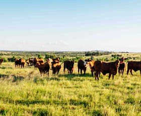 Rural / Farming commercial property for sale at Waikola QLD 4420