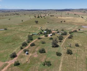 Rural / Farming commercial property for sale at 213 Nevilles Road Yeoval NSW 2868