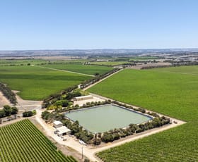 Rural / Farming commercial property for sale at 179 Milang Road Belvidere SA 5255