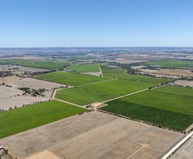 Rural / Farming commercial property for sale at 179 Milang Road Belvidere SA 5255