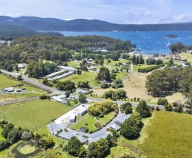 Hotel, Motel, Pub & Leisure commercial property for sale at 52 Safety Cove Road Port Arthur TAS 7182