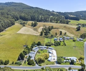 Hotel, Motel, Pub & Leisure commercial property for sale at 52 Safety Cove Road Port Arthur TAS 7182