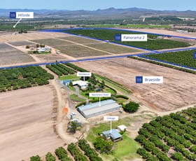 Rural / Farming commercial property for sale at 137 Veness Road Dimbulah QLD 4872