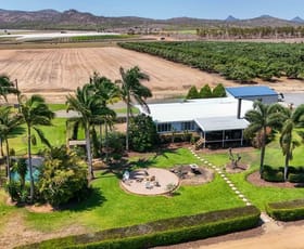 Rural / Farming commercial property for sale at 137 Veness Road Dimbulah QLD 4872