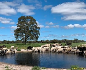 Rural / Farming commercial property for sale at 332 Sullivan Road Gingin WA 6503