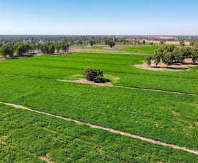 Rural / Farming commercial property for sale at 127 Orrs Road Gannawarra VIC 3568