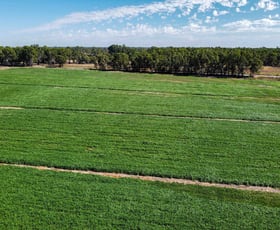 Rural / Farming commercial property for sale at 127 Orrs Road Gannawarra VIC 3568