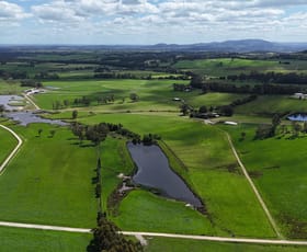Rural / Farming commercial property for sale at 560 Jacksons Track Jindivick VIC 3818