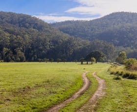 Rural / Farming commercial property for sale at 1451 Webbs Creek Road Webbs Creek NSW 2775