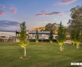 Rural / Farming commercial property for sale at 277 Tweedies Gully Road Williamstown SA 5351