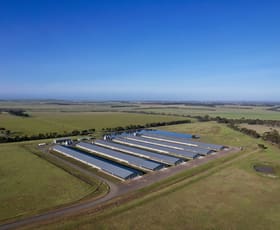 Rural / Farming commercial property for sale at 124 Windermere Road Murgheboluc VIC 3218