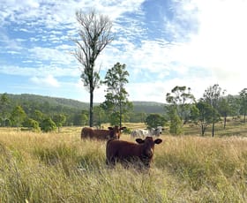 Rural / Farming commercial property for sale at 29 Runnymede Estate East Road Runnymede QLD 4615