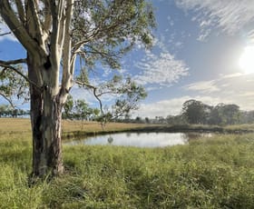 Rural / Farming commercial property for sale at 29 Runnymede Estate East Road Runnymede QLD 4615