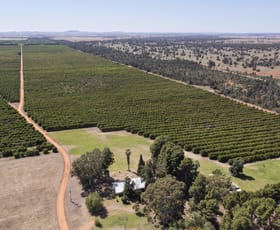 Rural / Farming commercial property for sale at Rosemont & Talinga Park 11847 Kidman Way Hillston NSW 2675
