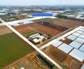 Rural / Farming commercial property for sale at Lot 430 & 440 Latz Road Virginia SA 5120