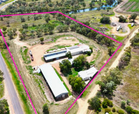 Development / Land commercial property for sale at 127 Vera Leap Road Wee Waa NSW 2388
