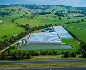 Rural / Farming commercial property for sale at 1566 Princes Highway Yarragon VIC 3823