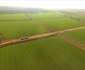 Rural / Farming commercial property for sale at Hillston NSW 2675