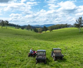 Rural / Farming commercial property for sale at McPhee Beef Farms 2697 Kangaroo Flat Road Yarrowitch NSW 2354