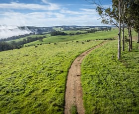 Rural / Farming commercial property for sale at McPhee Beef Farms 2697 Kangaroo Flat Road Yarrowitch NSW 2354