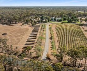 Hotel, Motel, Pub & Leisure commercial property for sale at 46 Hermitage Road Maiden Gully VIC 3551