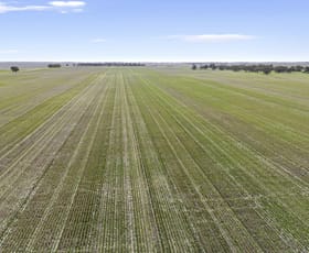 Rural / Farming commercial property for sale at Beverly Farming Portfolio Rich Avon, Rich Avon West & Marnoo Rich Avon VIC 3480