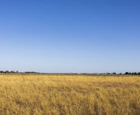Rural / Farming commercial property for sale at 2090 & 2210 Senior Road Senior SA 5268