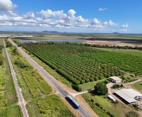 Rural / Farming commercial property for sale at 25712 Bruce Highway Gumlu QLD 4805