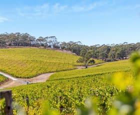Rural / Farming commercial property sold at Hahndorf SA 5245