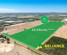 Rural / Farming commercial property for sale at 185 Prentice Road Orrvale VIC 3631