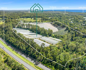 Rural / Farming commercial property for sale at 2030 Newmans Road Woolgoolga NSW 2456