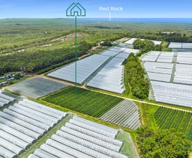 Rural / Farming commercial property for sale at 153 Kathleen Drive Dirty Creek NSW 2456