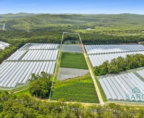 Rural / Farming commercial property for sale at 153 Kathleen Drive Dirty Creek NSW 2456