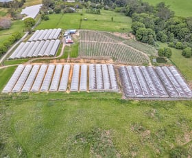 Rural / Farming commercial property for sale at 289 Mardells Road Bucca NSW 2450