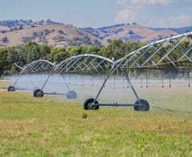 Rural / Farming commercial property for sale at 1725 Humula Road Tarcutta NSW 2652