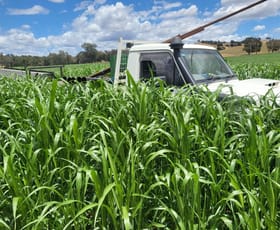 Rural / Farming commercial property for sale at 1725 Humula Road Tarcutta NSW 2652