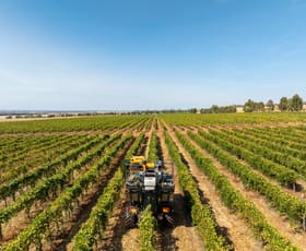 Rural / Farming commercial property for sale at 22 Willoughby Road Burramboot VIC 3559