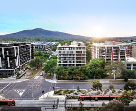Medical / Consulting commercial property for lease at 90 Northbourne Avenue Braddon ACT 2612