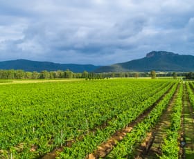 Rural / Farming commercial property for sale at Nightingale Wines 1239 Milbrodale Road Broke NSW 2330