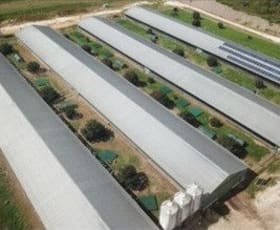 Rural / Farming commercial property for sale at NSW